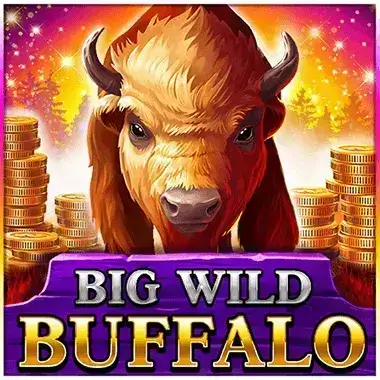Play Big Wild Buffalo Foxy Bingo casino